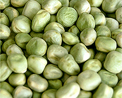 Marrowfat-Peas-large
